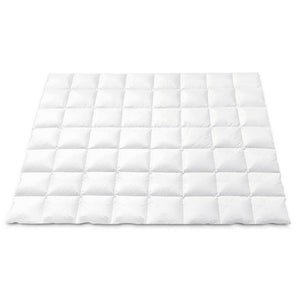 
                  
                    Giselle Bedding 800GSM Goose Down Feather Quilt Winter Blanket Duvet Comforter Double
                  
                