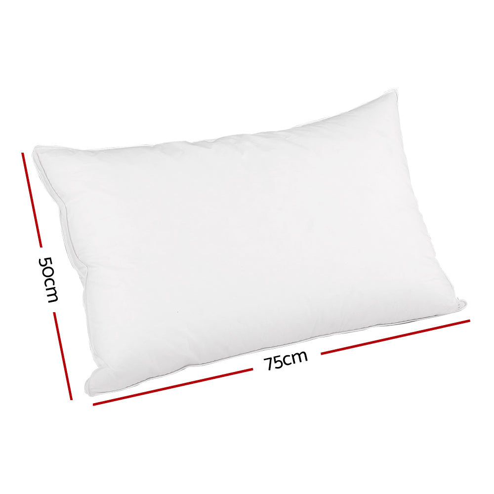 
                  
                    Goose Feather Down Twin Pack Pillow
                  
                